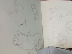 -小时光咖啡馆(北锣鼓巷店)