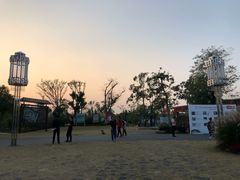 -上海长兴岛郊野公园