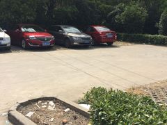 -马陆小张葡萄园农家乐