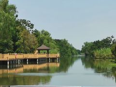 -大湾区中央湿地公园