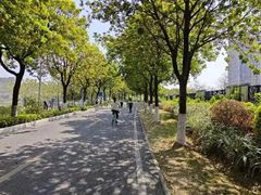-广东花都湖国家湿地公园