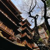 教育路｜食过翻寻味的手卷