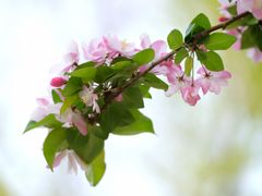 -莲池书院博物馆