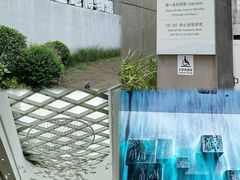 -中国湿地博物馆