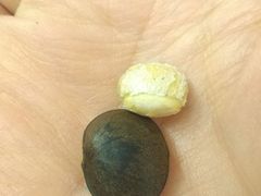-瓦洛洛传统市场