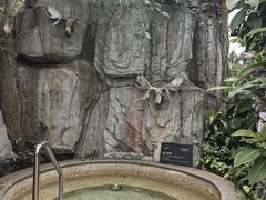 -海口观澜湖火山温泉谷