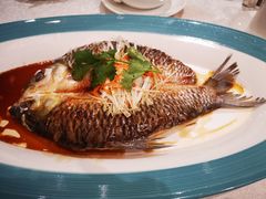 -红棉中餐厅·广州海航威斯汀酒店