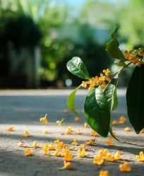 -纵享怡月月子中心(西稍门店)