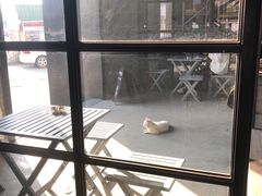 -来回·咖啡(钟村咖啡豆店)