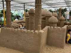 -南宫五洲植物乐园