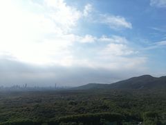 -灵谷景区