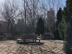 -绿岛公园(滨海新区)