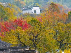 -塔川景区