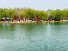 -河北省园博园