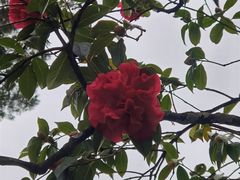 -昆明市金殿名胜区