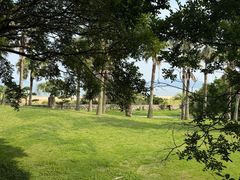 -普陀山风景名胜区-千步大沙