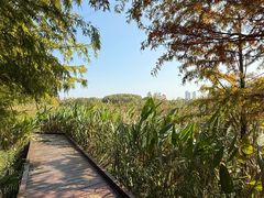 -昆山城市生态森林公园