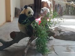 -宁波野生动物园