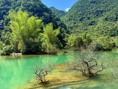 -靖西鹅泉风景区