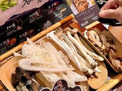 -芸山季·云南山珍菌火锅(人民广场来福士店)