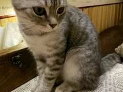 -隅cafe(傅厚岗店)