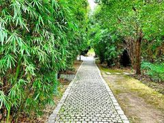 -新虹桥中心花园