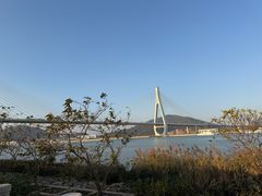 -芒洲湿地公园