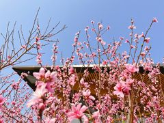 -中国天府农业博览园