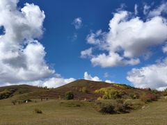 -塞罕坝国家级自然保护区