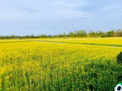 -中国天府农业博览园