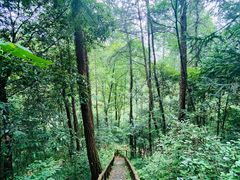 -罗田天堂寨风景区