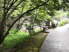 -木兰云雾山