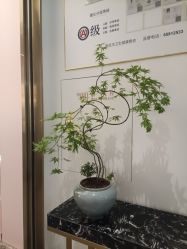 -Dr.U博士医疗美容医院