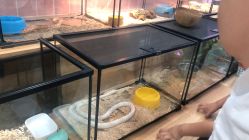 -Moni星球萌宠·小马宝莉·灵蛇·高端高阶全萌宠互动体验俱乐部(红豆国际广场店)