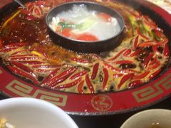 -矮板凳老火锅(宽窄巷子店)