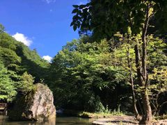 -黎坪国家森林公园