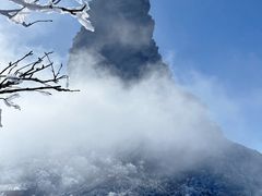 -梵净山旅游区