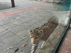 -贵州森林野生动物园