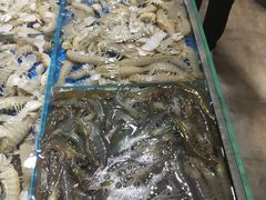 -天天鱼港·海鲜·鲅鱼水饺·招牌烤鸭(黄骅店)