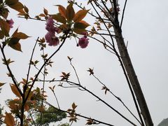 -石燕湖生态旅游景区