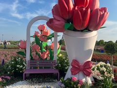 -荷兰花海