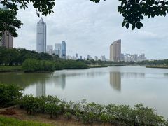 -万绿园