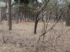 -长春市南湖公园