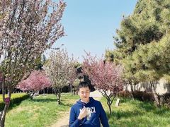 -汤阴县羑里周易博物馆