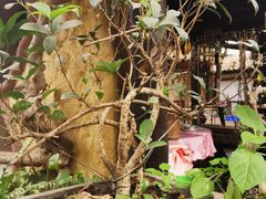 -园林美食城·本土农家菜(杨和镇店)