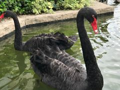 -行者书屋大堂吧 ·下午茶(南京圣和府邸酒店)