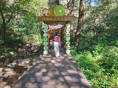 -大岭沟猕猴桃谷风景区