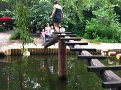 android_upload_pic-沈阳植物园