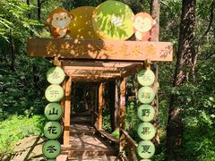 -大岭沟猕猴桃谷风景区