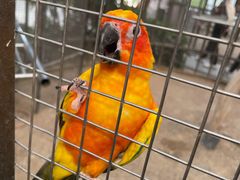 -南宫五洲植物乐园